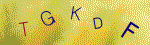 Kontroln� k�d