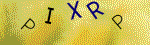 Kontroln� k�d