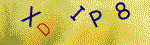 Kontroln� k�d