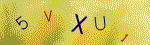 Kontroln� k�d