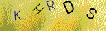 Kontroln� k�d