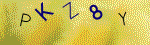 Kontroln� k�d