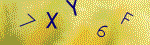 Kontroln� k�d