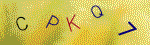Kontroln� k�d