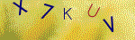 Kontroln� k�d