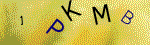Kontroln� k�d