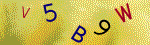 Kontroln� k�d